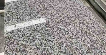 岳阳 芙蓉白光面
