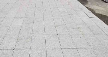 岳阳芝麻白地铺案例