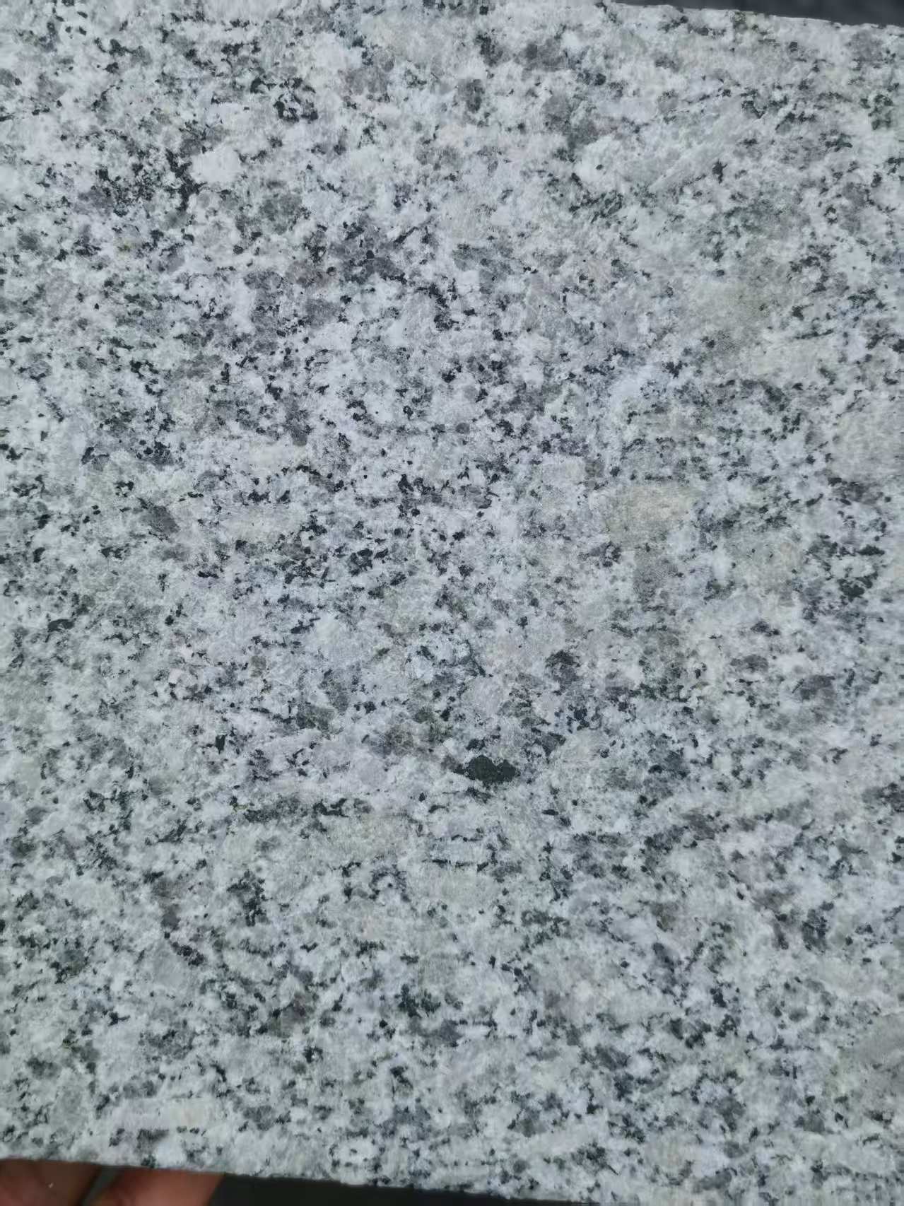 岳阳 芙蓉白火烧面