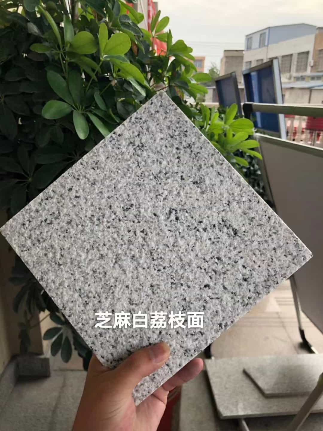 岳阳 芝麻白荔枝面干挂