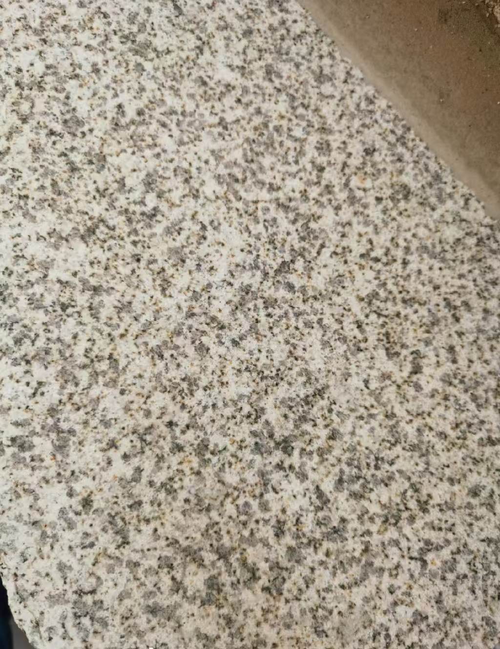 岳阳 黄金麻中黄光面
